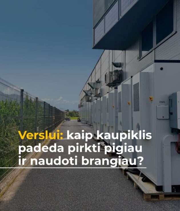 Kaip elektros energijos kaupikliai padeda verslui pirkti pigesnę elektrą